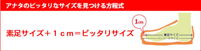 アナタのピッタリなサイズを見つける方程式